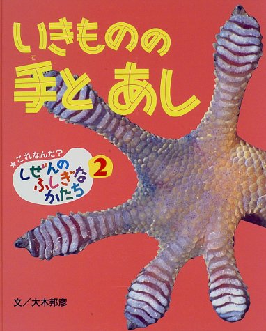 これなんだしぜんのふしぎなかたち 2