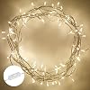 Lights4fun Lichtsnoer met 100 leds, warm wit