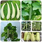 120 piezas Semillas de pepino luffa, Plantas vegetales, plantas jóvenes, plantas resistentes en macetas. Luffa aegyptiaca antiguas variedades de hortalizas semillas semillas de plantas