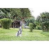 Kerbl Pet Set Gartenleine, Laufleine 15m + Führleine 3m + Zugentlastung