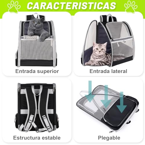 El mejor review de Transportadora para gatos soriana comprados en linea. 28 Imagen adicional