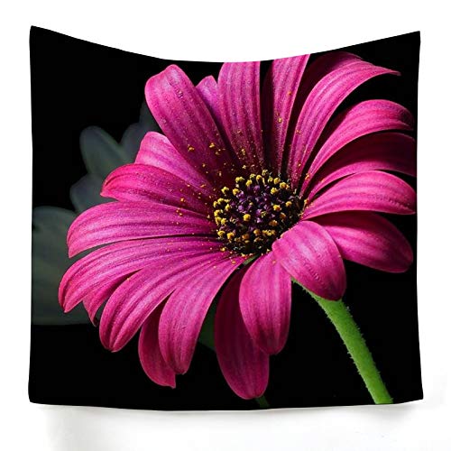Tapiz de pared KnSam rosa para decorar el salón y crear un rincón de lectura acogedor 2
