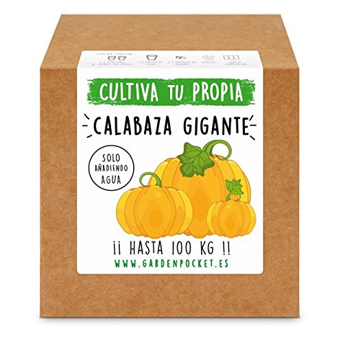 Garden Pocket - Kit Cultivo Calabaza Gigante