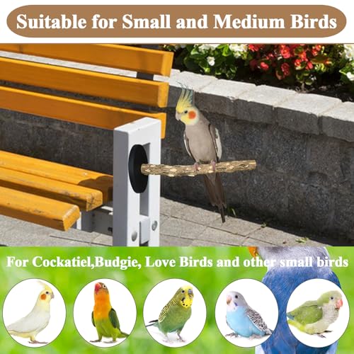 Image of Bird Stand Perch Toy, Double Layer Spinning Parakeet Toys Exercise Wheel Cockatiel Toy for Cages Wooden Perchs for Small & Medium Birds Cage Accessories for Parakeets Lovebirds Conures (Black)