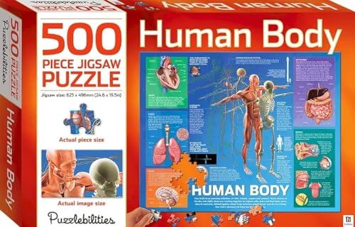 Rompecabezas del cuerpo humano de 500 piezas ideal para tardes en familia