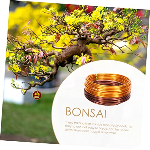 Yardwe 4Pcs Pot Shape Aluminum Wire Indoor House Plants Bonsai Metal Wire Houseplants Potted Plant Training Wires Green Plant Support Wire Plants Climbing Wires Gardening Supplies Brown #TOP5