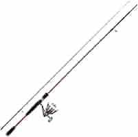 BB-XT/エギングロッドGF-ED842ML 2本セット BB-XT/エギングロッドGF-ED842ML 2本セット BB-XT/エギング