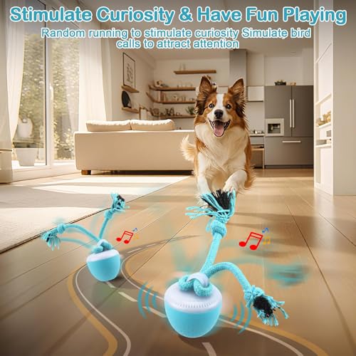 Pipihome Interaktives Hundespielzeug Ball, Hundespielzeug Intelligenz, Hundeball Elektrisch Automatisch Rollender mit LED-Lichtern, Interaktiver Spielball für Welpen Kleine/Mittlere/Große Hunde
