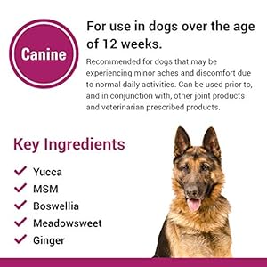 Vet Classics Pain Plus Extra Strength Health Supplement for Dogs - 120 Soft Chews Vet Classics Pain Plus Extra Strength Health Supplement for Dogs – 120 Soft Chews