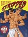 Stripped: A Story of Gay Comics