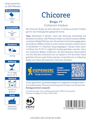 Kiepenkerl Chicoreesamen Bingo 1023060 - Robuste Sorte für Hobbygärtner, Chicorée pflanzen & pflegen, knackige Blätter, ideal für Salate & Küche, Gemüsesamen für 200 Pflanzen