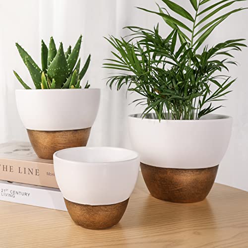Joyonic White Ceramic Pots For Indoor Plants, 3 Set 4.6/6 / 7 Inch Christmas Plants Pot With Drainage Holes,Nursery Planter Pots For Indoor Plants Vintage Flower Pots For Aloe Vera, Succulents #TOP1
