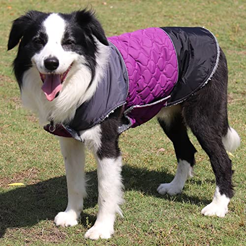 Abrigo impermeable para mascotas ideal para paseos lluviosos con perros medianos 7
