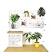 ZONYEO Mesh Wire Hook Basket, Multifunction Metal Wall Grid Panel Accessories Mounted for Organizer Balcony Plant Holder Storage White Coated