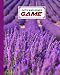 Dots And Boxes Game: Premium Lavender Floral Cover Dots And Boxes Game, A Classic Strategy Game - Large and Small Playing Squares, 120 Pages, size 8" x 10" by Tilo Nagel