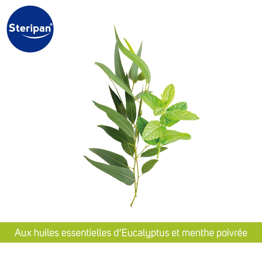 Steripan - Spray Nasal Décongestionnant - Aux Huiles Essentielles - Eucalyptus et Menthe Poivrée - 20ml