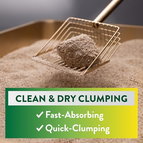 image for Arm & Hammer ARM & Hammer Plant Power Lightweight Plant-Based Clum