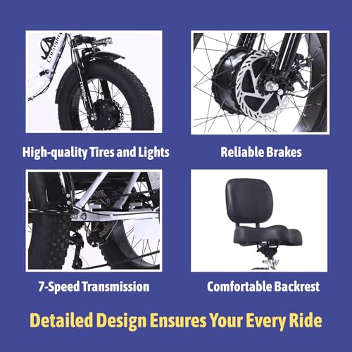 Electric Tricycle for Adults Cargo