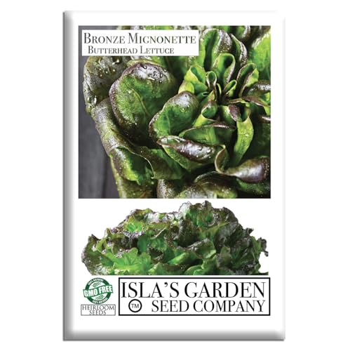 Bronze Mignonette Butterhead Lettuce Seeds for Planting (Lactuca sativa) – 1000+ Non-GMO Heirloom Seeds by Isla’s Garden Seeds, Tender Bronze-Tinted Heads Ideal for Garden Beds, Containers & Salad Mix