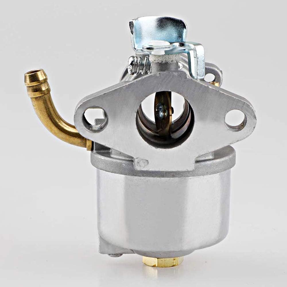 LIZAPUS Carburetor Assembly Compatible with Nikki 216701 Briggs