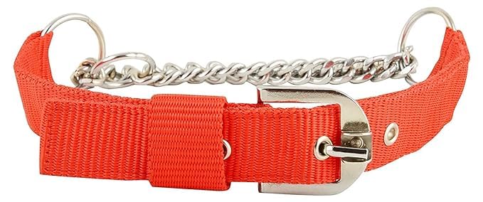 DRK Shopmart Dog Choke Collar Nylon Half Chain Collar Half Choker Stainless Steel Adjustable Dogs Collars (Red, Large),18 cm,W_11 cm (B0CMQDWBNS) Amazon Price History, Amazon Price Tracker