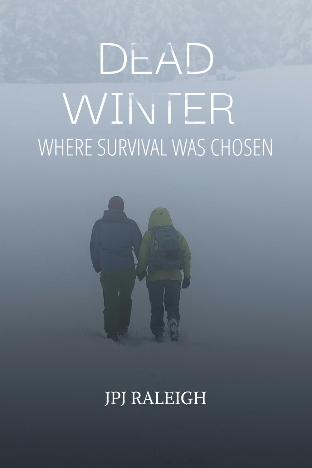 Dead Winter: Where Survival Was Chosen