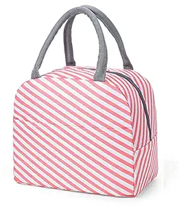 Insulated Travel Lunch/Tiffin/Storage Bag for Office, College & School Polyester, Regular Size (Gold-RVW) (Linning PINK001)