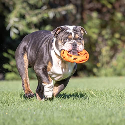 Image of Chuckit! Air Fetch Wheel Dog Toy, Orange, 1 Count (Pack of 12)