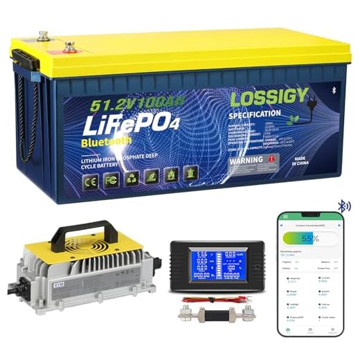 LOSSIGY 48V Lithium Golf Cart Battery System