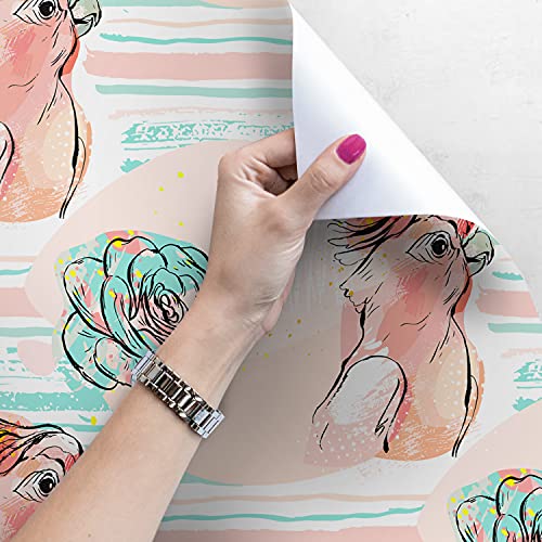 Papier peint perroquets pour masquer les défauts des murs et meubles