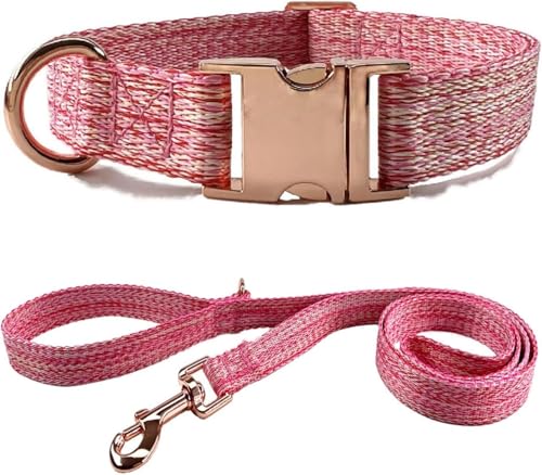 Collier pour chien durable ensemble laisse grand chien bleu - 8