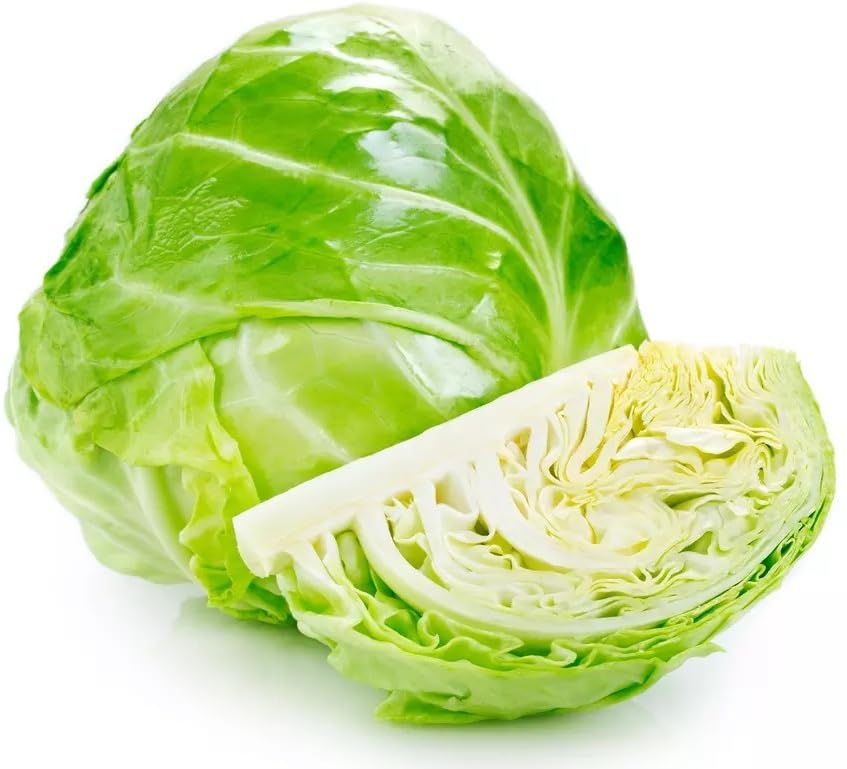 Willvine Round Shape Green Ball Style Cabbage-NDIR-9X-image-21