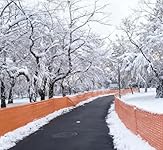 Review Image by The Deep Blue Sea The Deep Blue Sea