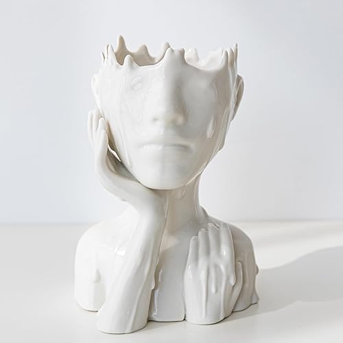 COTYNI Macetas de cara para plantas, macetas suculentas para plantas de interior y exterior, macetas bohemias con agujero de drenaje, macetas de