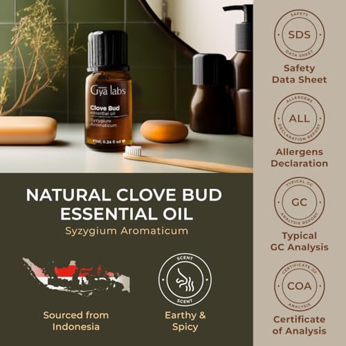 Gya Labs EOS-CLB-010M Clove Oil For Oral Care - 100% Natural Clove Essential Oil thumb #5
