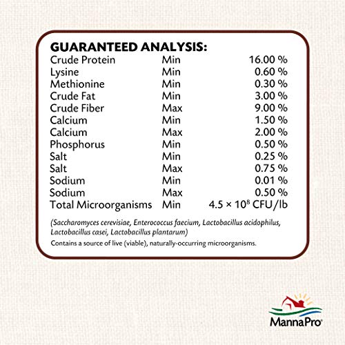 Manna Pro All Flock with Probiotics Crumble | Formulated with Vitamins and Minerals to Support a Balanced Diet | 8 Pounds - Thumbnail 7
