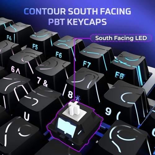 Image of EvoFox Ronin X75 Plus Tri-Mode Gaming Wireless Mechanical Keyboard, Gasket Mount, 5 Layer Sound Dampening, South Facing LED, Pass-Through Keycaps, 8000 mAh Battery, Hot Swap, Multi OS Web Software