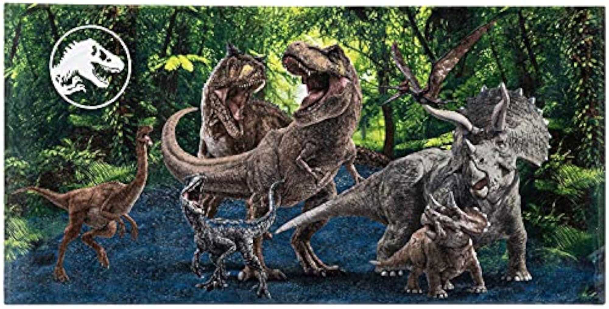 Super Soft Cotton Family Reunion Beach Towel