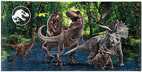 Jurassic World Family Reunion Beach Towel Super Soft Cotton 28' x 58'