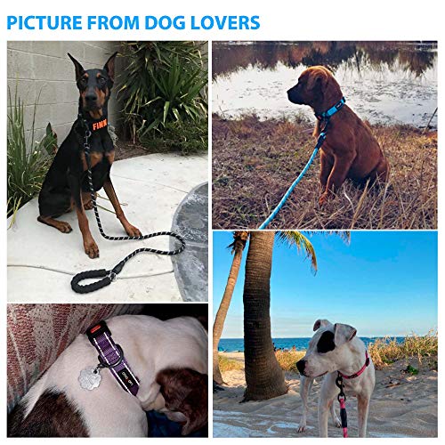 Ladoogo Heavy Duty Dog Leash - Comfortable Padded Handle, 5 Ft Long - Dog Leashes For Small Medium Large Dogs thumb #6