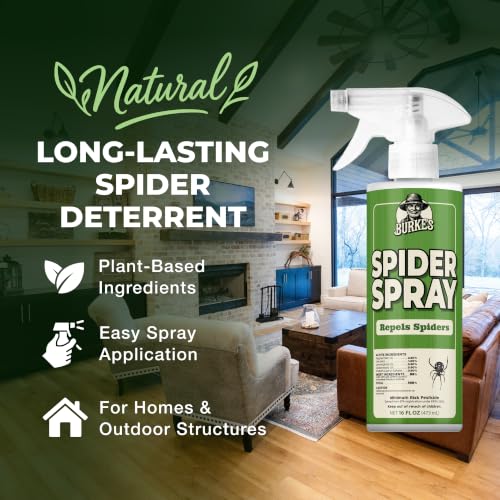 Image of Burke's Spider Spray (16oz) | Deters Spiders Around Homes, Indoor & Outdoor Use, Pet Friendly Formula, Home Perimeter Spray, Made in USA