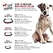 Tuff Pupper Martingale Collar for Dogs is Perfect for Training | No Pull Dog Collar with Adjustable Gentle Nylon & Steel Chain | Convenient Sizing for All Breeds Small (12-20