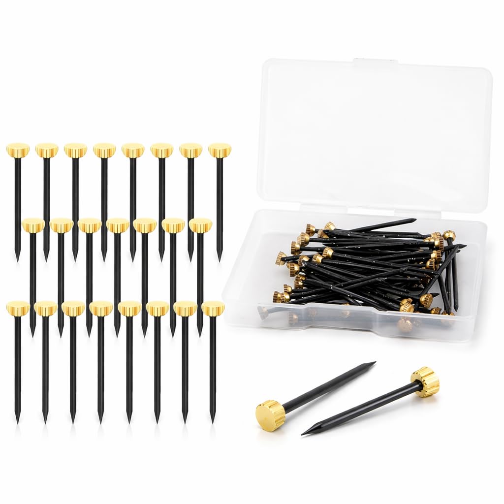 50 Pcs Picture Hanging Nails – Metal Plaster Picture Frame Hangers with Plastic Storage Box – Gold Head Nail Hook Pins for Photo Frames and Wall Art