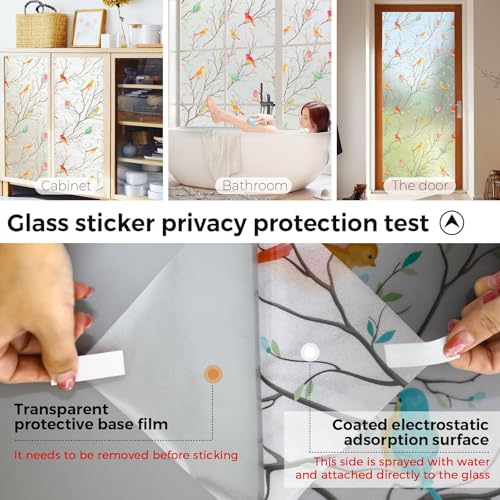 Image of WOO Home Frosted Glass Window Film & Stickers (24 X 120 INCH) Privacy Window Cover for Home & Office - Easy Apply, UV Protection, Removable Decorative Film (Multi Colour Bird Film | 2 X 10 SQFT)