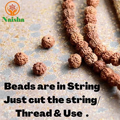 Naisha Natural Rudraksh 251 Piece Loose Rudraksha Mala, Genuine Himalayan Meditation Prayer Beads - Image 3