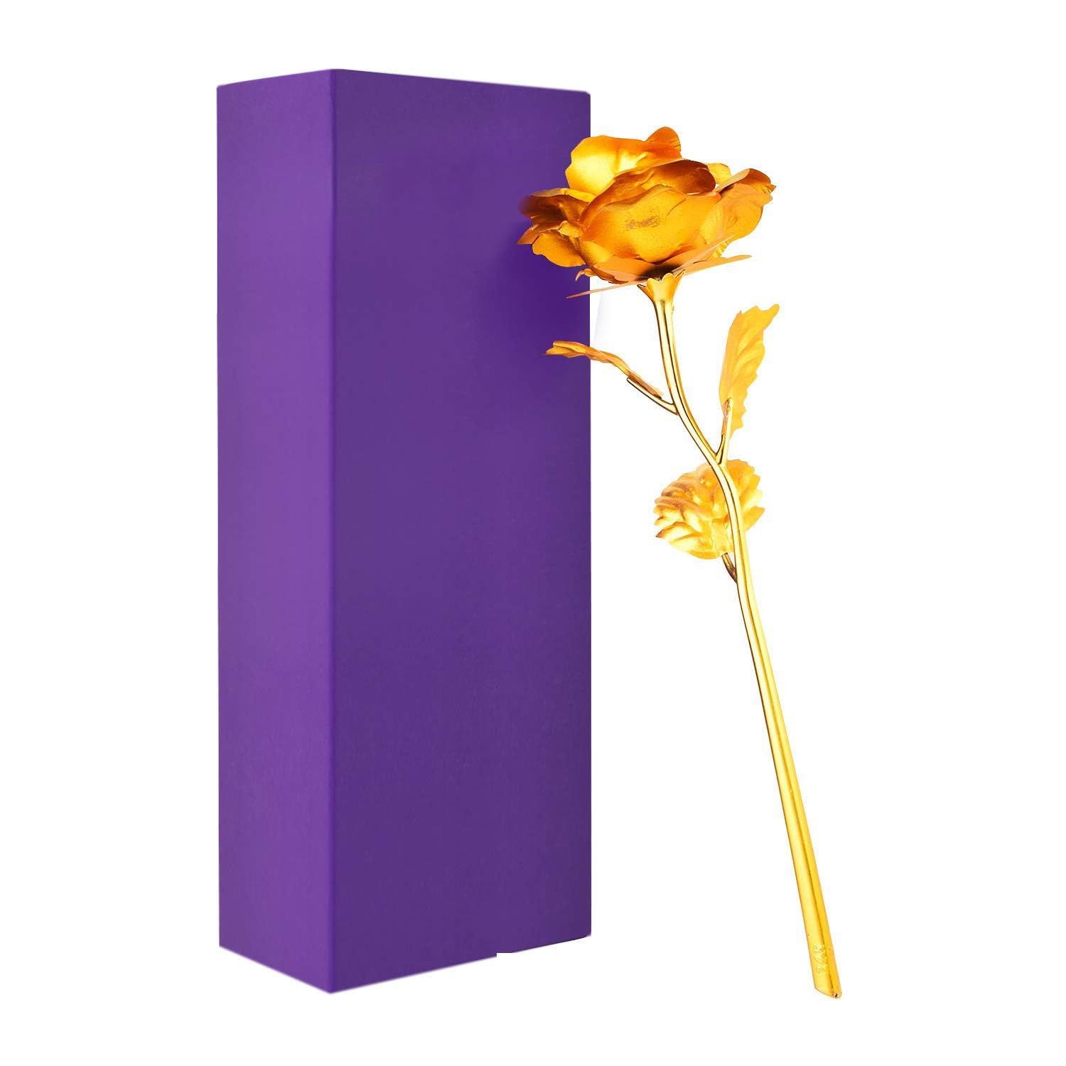 Lavanaya Silver Gift Valentine Gift Red Rose 25 cm with Beautiful Gift Box and Carry Bag
