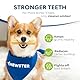CHEWSTER Käsestangen - Kaukäse Hundeknochen - Kaukäse für Hunde - Langer Kauspaß aus natürlicher Milch – Natürliche Käse-Kauknochen (210 g, M, 3er Pack)