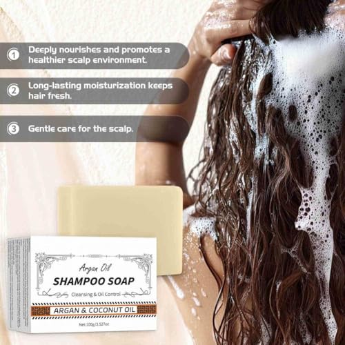 Shampoing solide argan contre les cheveux gras et les frisottis rebelles lot de 2