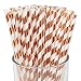 Just Artifacts Decorative Striped Paper Straws (100pcs, Striped, Metallic Rose Gold)