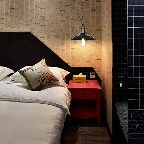 Lustre moderne DIRIGÉ pour plafond haut : ajustez enfin votre éclairage - 2